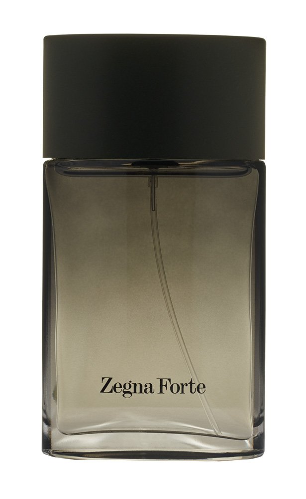 ERMENEGILDO ZEGNA Forte Zegna