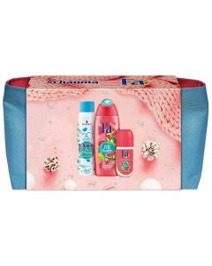 FA Fiji Dream XMASS