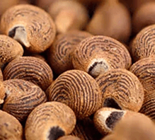 ambreta