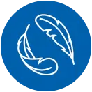 Ulga