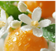 neroli, róża, drewno cedrowe
