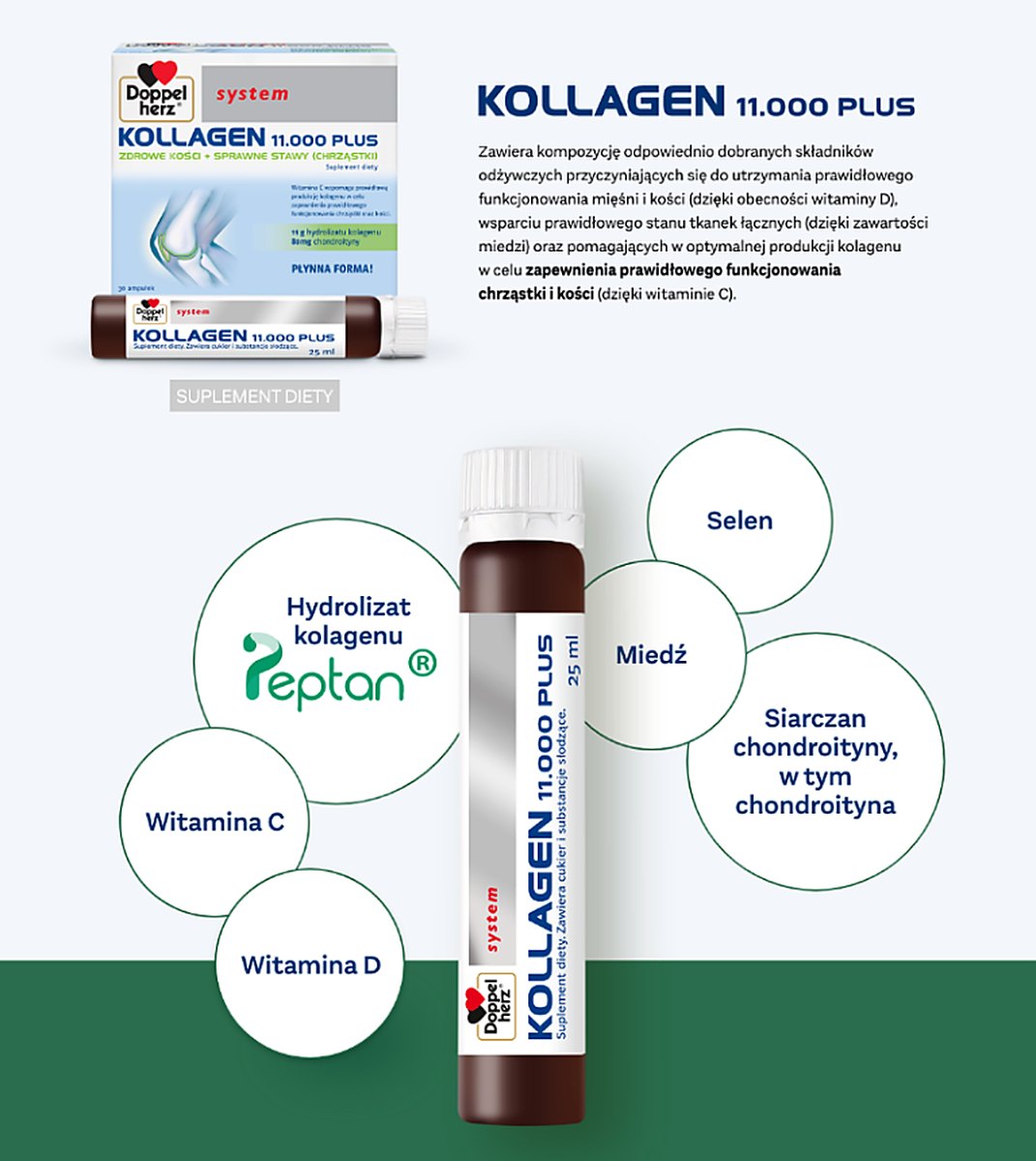 Szczegóły składu i kolagen Peptan